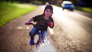 Правила поведения на дороге