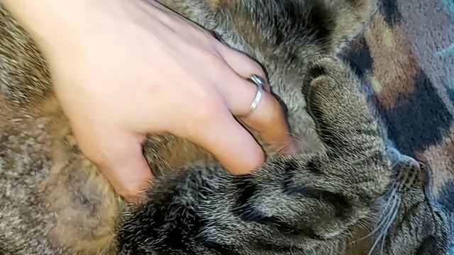 а ты меня любишь?? смотреть онлайн