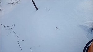 Доработал широкую лыжу на Буране, неужели плохо рулит?