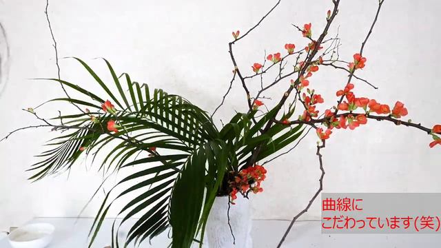 【生け花・白いアマリリス】_葉を丸めて曲線に(English subtitles)_レストランの花