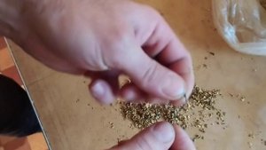 Сетка для сбора прополиса