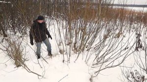 Мы всё-таки купили участок на берегу для зрителей канала !