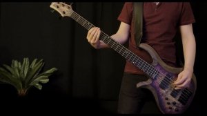 Trivium – The Heart From Your Hate – bass cover