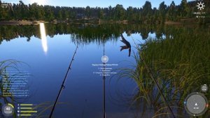 русская рыбалка 4 карась золотой, фарм для новичка