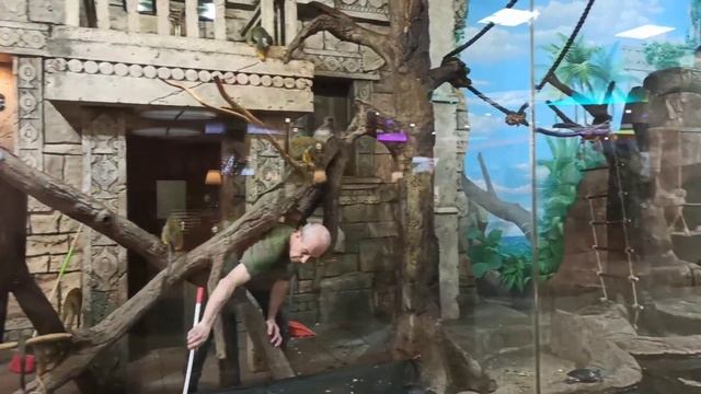 Магазин тракторов и садовой техники в Москве. смотреть онлайн