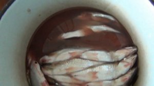 Вяленая рыба Сушеная рыба Как посолить мелкую рыбу