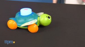 Linkimals Sit-to-Crawl Sea Turtle from Fisher-Price Review 2021 | Baby Toys | TTPM Baby Review