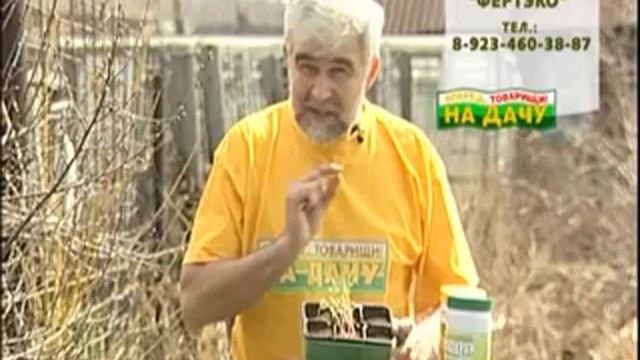 Торфогель "Сибиряк" - помидоры (саженцы) смотреть онлайн