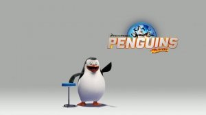 Meet Private | PENGUINS OF MADAGASCAR