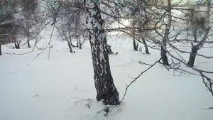 Снегоход динго 125 доработанный на ходу