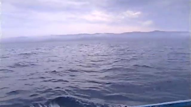 Охота на кита(эпизод #1). Чукотка. Россия. / Whale Hunt (episode #1). Chukotka. Russia. 2002. смотреть онлайн