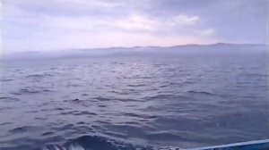 Охота на кита(эпизод #1). Чукотка. Россия. / Whale Hunt (episode #1). Chukotka. Russia. 2002.