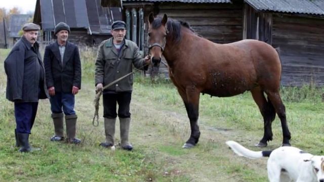 Скажи председатель