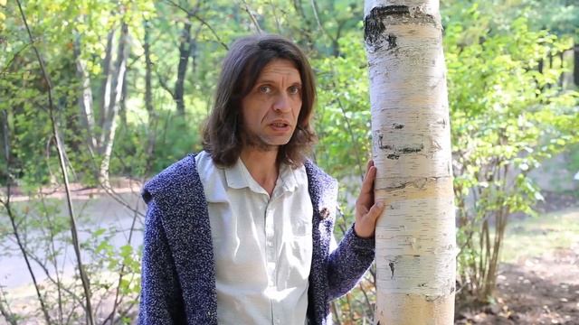 Берёза бумажная I Betula lenta