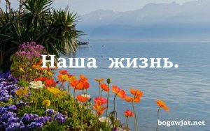 Песня ,,Наша Жизнь."