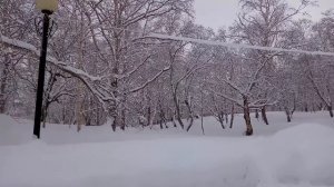 Санаторий 
" Паратунка " Камчатка