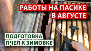 ЧТО ДЕЛАТЬ НА ПАСЕКЕ В АВГУСТЕ??? НАЧИНАЕМ ГОТОВИТЬ ПЧЁЛ К ЗИМЕ!!!