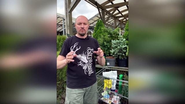 Прямые эфиры Хвойные растения Подкормка Уход Формировка Интересные сорта смотреть онлайн