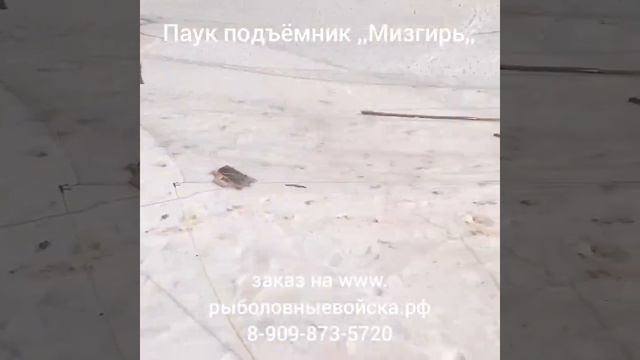 Паук ,,Мизгирь,, - рыболовный подъёмник от мастерской ,,Рыболовные войска РФ,,