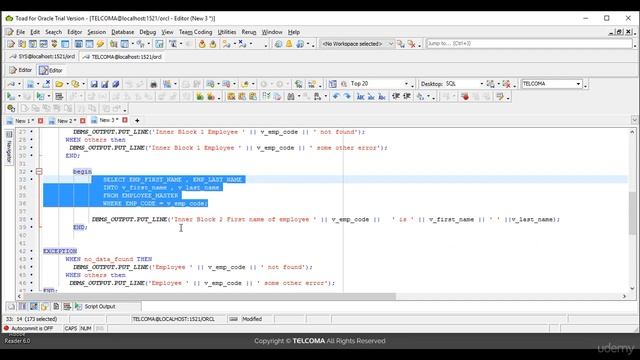 Nested Blocks in PLSQL - PLSQL in Depth A Comprehensive Guide