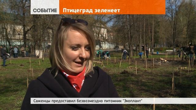 130 клёнов Птицеграда смотреть онлайн