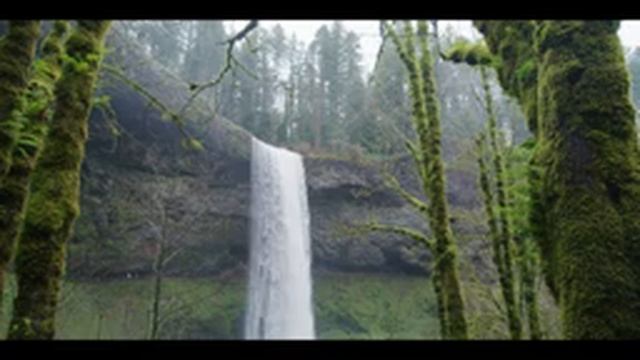 Звуки леса Пение птиц Журчание водопада успокаивает здоровый сон((релакс смотреть онлайн