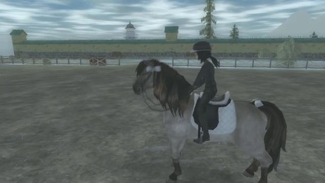 Исландская Лошадь | Icelandic Horse | SSO смотреть онлайн