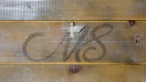 Делаем миниатюру - ватная игрушка "Голубь". Пошаговый мастер-класс.