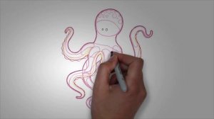 Морские животные. Как нарисовать морских животных КАЛЬМАР