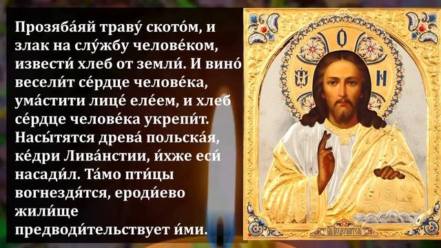 8 ноября ВКЛЮЧИ И ГОСПОДЬ ПОМОЖЕТ! ИЗБАВЬСЯ ОТ ЗЛА И ПОРЧИ! Сильная Молитва Господу. Православие