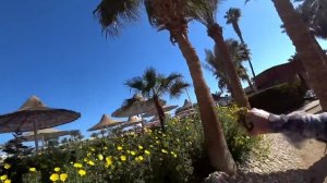Супер акция на отель Giftun Azur Resort 3/ Сервис Заселение Завтрак и номер / Песчаный пляж