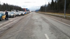 Упавшее дерево
