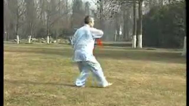 Янши Тайцзицзянь - 32 формы.flv