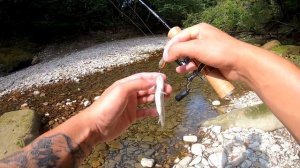 Голавлевый XUL-стрим | JS Company Bixod N Stream S472XUL