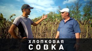 Вирин ХСК палач хлопковой совки