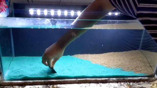 Island Tank Setup / Aquarium Decoration Ideas смотреть онлайн