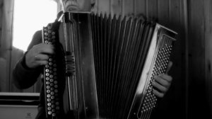 Я то что надо - на баяне