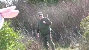 Реми Гейлард Зайцы мстят охотникам