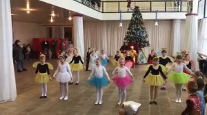 Полька насекомых.