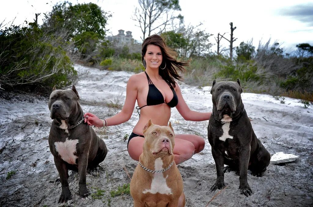 Видео зоо рассказ. Крупные женщины и собаки. Животные и женщины. Девушка с собакой. Женщины живущие с собаками.