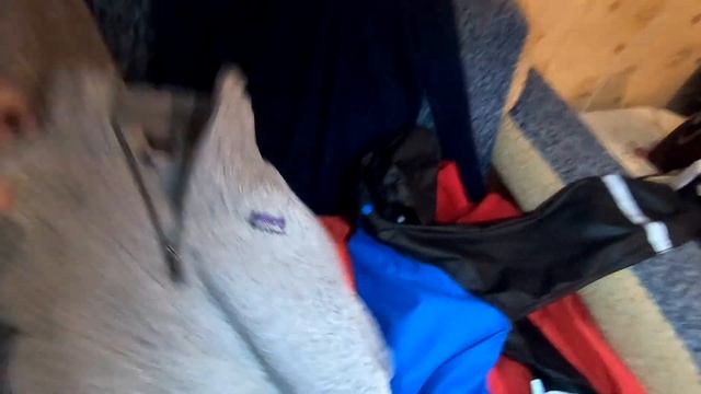 #секондхендпатруль. Тамбовские завозы смотреть онлайн