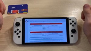 NINTENDO SWITCH ONLINE + Пакет расширений / Animal Crossing Happy Home Paradise / SEGA и NINTENDO 6