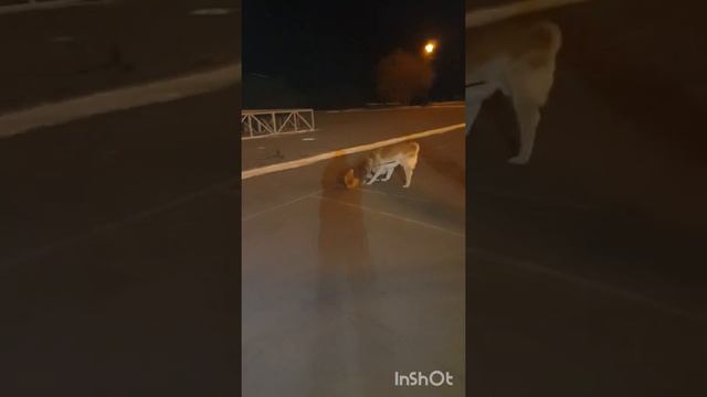 Минутки счастья.. 💞 смотреть онлайн