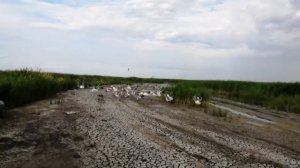 Рыбалка на реке Чулым, мастер своего дела.))