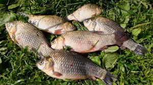 Лучшие самодельные насадки Часть 11.