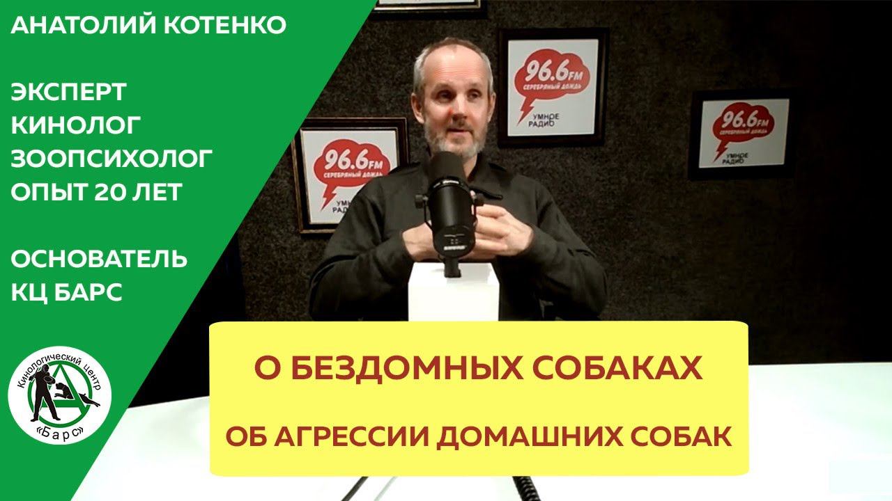 Анатолий Котенко. КЦ Барс. Агрессия собак. Прямой эфир на радио