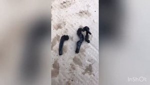 Давит трансмиссионное масло с коробки передач через щуп