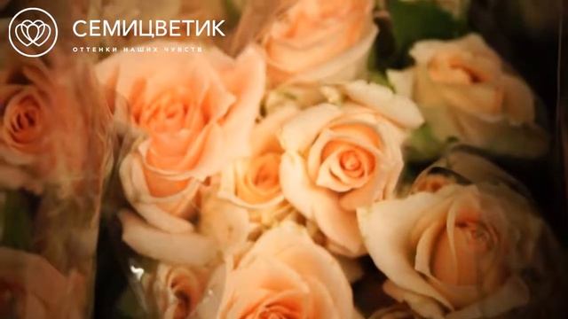 Обзор поставки: кремовые кустовые розы смотреть онлайн