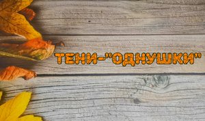 Тени-"однушки"