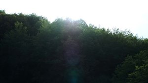 Giolì & Assia - #DiesisLive @The Forest Sundown, Nebrodi Park